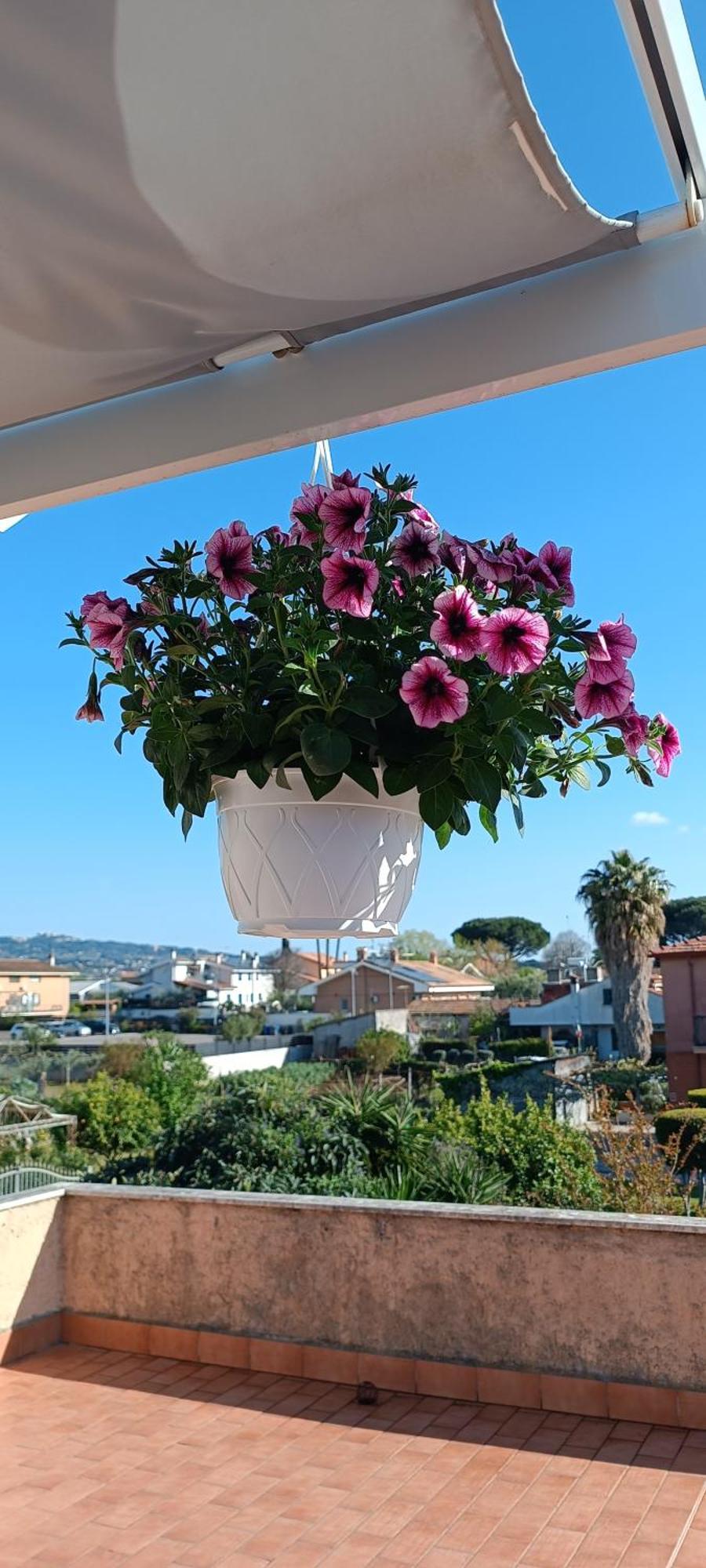 F.A.M. Rooms Ciampino Exterior foto